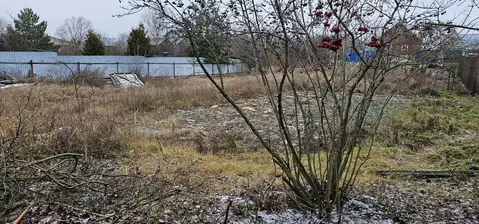 Участок в Московская область, Луховицы муниципальный округ, с. ...