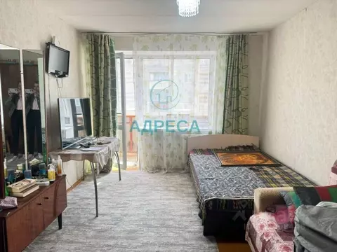 1-к кв. Белгородская область, Новый Оскол ул. Ленина, 50 (32.3 м)