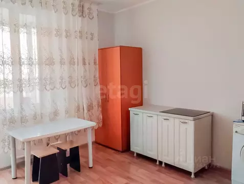 Студия Красноярский край, Красноярск ул. Борисова, 42 (20.0 м)