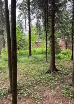 Участок в Московская область, Наро-Фоминский городской округ, д. ...