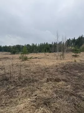Участок в Московская область, Орехово-Зуевский городской округ, д. ...