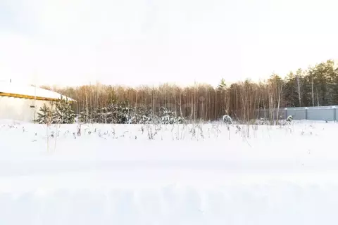 Участок в Тюменская область, Тюменский муниципальный округ, с. Кулига, ...