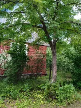 Дом в Омская область, Омск СНТ Весна ТСН, 143 (28 м)