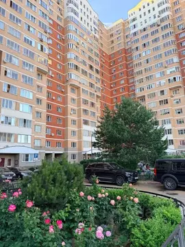 2-к кв. Московская область, Ногинск Богородский городской округ, ...