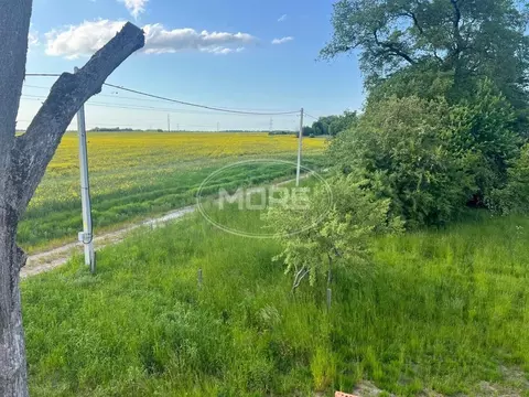 Участок в Калининградская область, Гурьевский муниципальный округ, ...