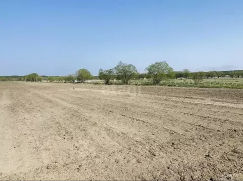 Участок в Сахалинская область, Анивский городской округ, с. ...