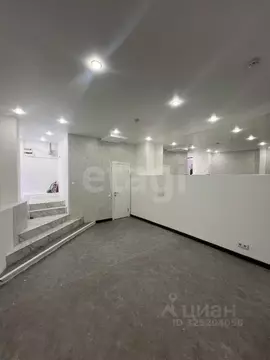 Офис в Санкт-Петербург пер. Пирогова, 19 (53 м)