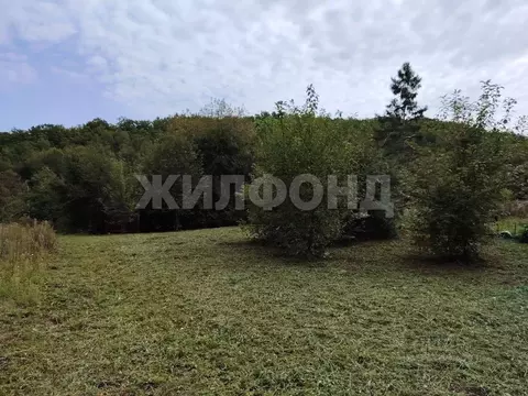 Участок в Амурская область, Благовещенск Игнатьевское ш. (6.0 сот.)