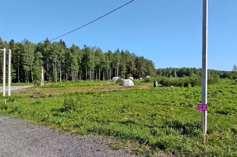 Участок в Ленинградская область, Ломоносовский район, Низинское с/пос, ...