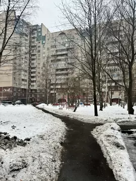 1-комнатная квартира: Санкт-Петербург, Планерная улица, 71к4 (39.2 м)