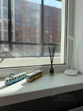 Студия Санкт-Петербург аллея Арцеуловская, 7к2 (23.8 м)