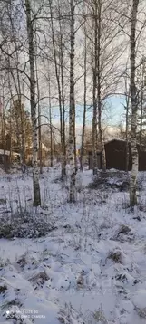 Участок в Ленинградская область, Кировский район, Мгинское городское ...