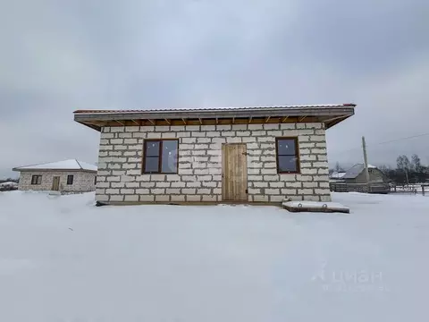 Дом в Псковская область, Псков ул. Невская, 52 (67 м)