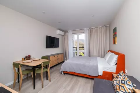 Студия Краснодарский край, Сочи ул. Искры, 88к6 (29.0 м)