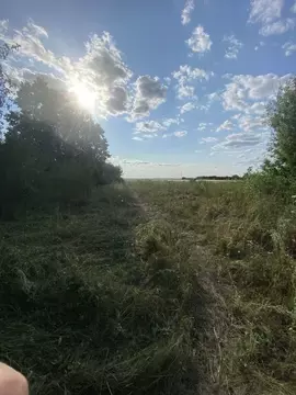 Участок в Белгородская область, Корочанский район, Шеинское с/пос, с. ...