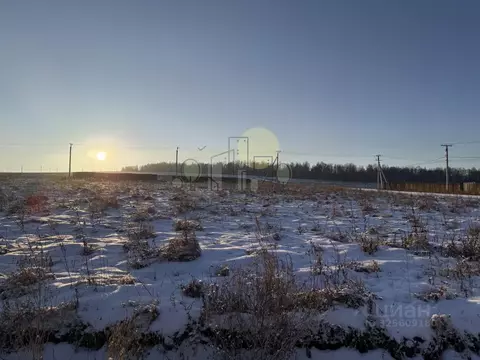 Участок в Иркутская область, Иркутский муниципальный округ, д. ...