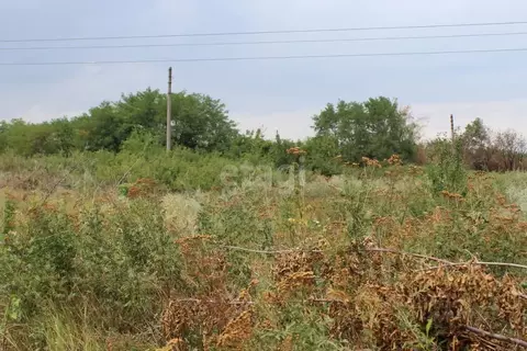 Участок в Ростовская область, Аксайский район, Большелогское с/пос, ...