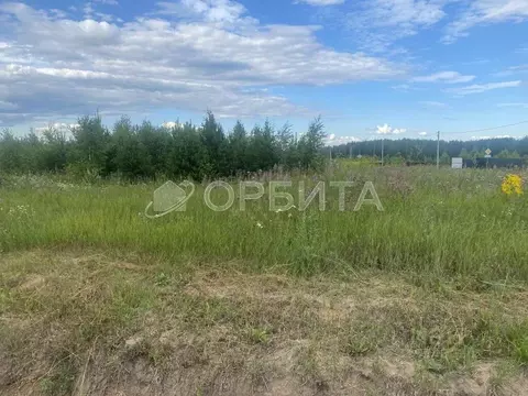 Участок в Тюменская область, Тюменский муниципальный округ, с. Кулига  ...