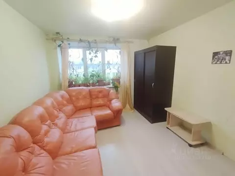 Студия Московская область, Солнечногорск городской округ, Менделеево ...