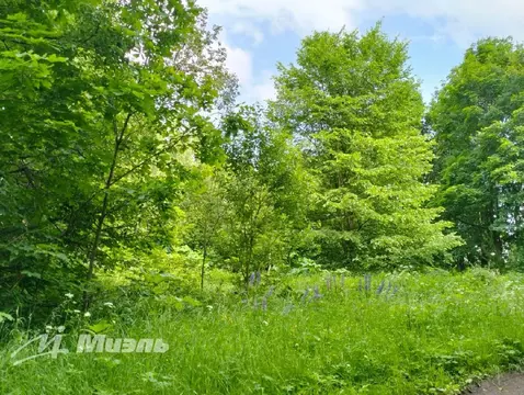 Продается участок в СНТ Тепловик