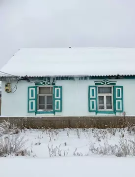 2-к кв. Оренбургская область, пос. Новоорск ул. Вокзальная, 1 (31.5 м)