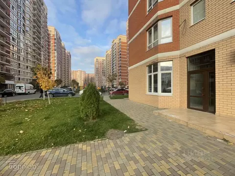 Помещение свободного назначения в Краснодарский край, Краснодар ул. ...