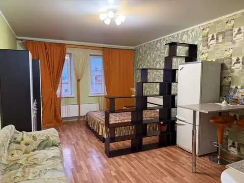 Студия Московская область, Балашиха городской округ, д. Павлино 69 ...