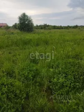 Участок в Ярославская область, Ярославский муниципальный округ, д. ...