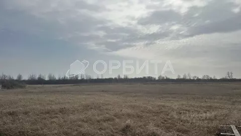 Участок в Тюменская область, Тюменский муниципальный округ, с. Чикча  ...