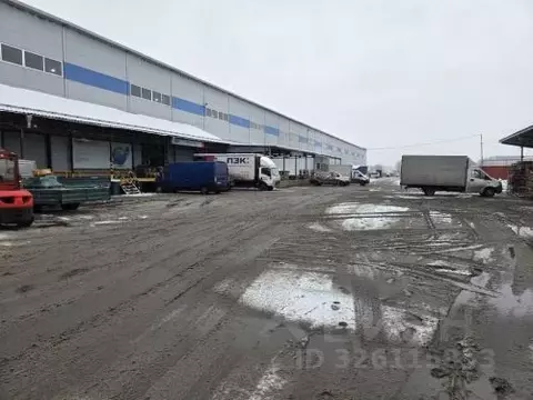 Склад в Санкт-Петербург пос. Шушары, проезд 1-й Бадаевский, 11 (2600 ...