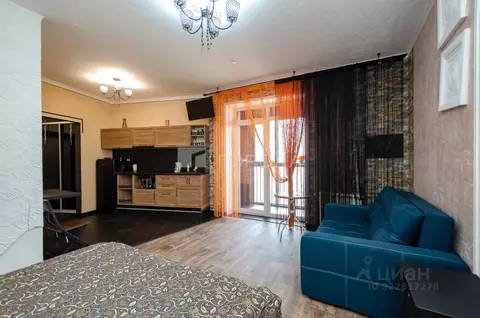 Студия Новосибирская область, Новосибирск Фабричная ул., 65 (38.0 м)