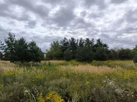 Участок в Московская область, Раменский муниципальный округ, д. Жирово ...