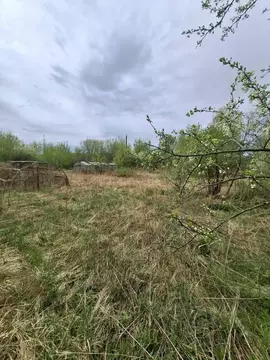 Дом в Нижегородская область, Кстово Нагорный СНТ,  (40 м)