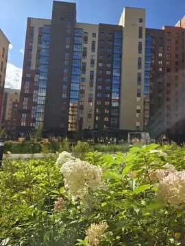 1-к кв. Красноярский край, Красноярск ул. Академгородок, 80 (44.5 м)