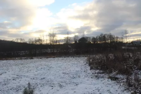 Участок в Московская область, Шаховская муниципальный округ, д. ...