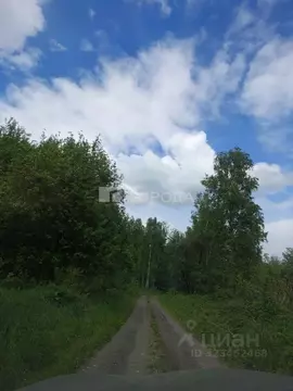 Участок в Новосибирская область, Новосибирский район, Барышевский ...