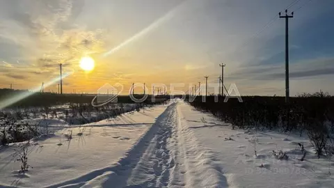 Участок в Тюменская область, Тюменский муниципальный округ, д. ...