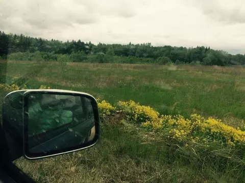 Участок в Московская область, Можайский муниципальный округ, д. ...