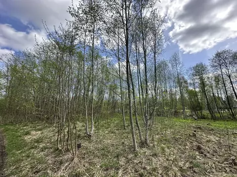 Участок в Тверская область, Конаковский муниципальный округ, Козлово ...