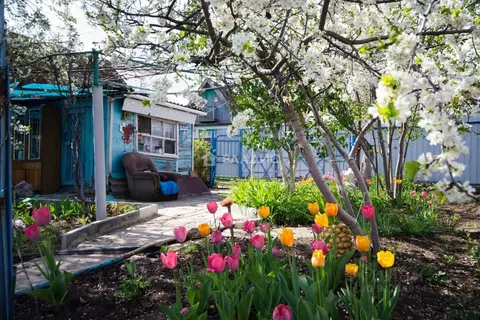 Дом в Саратовская область, Балаково Дзержинец СТ, проезд 3-й (25 м)