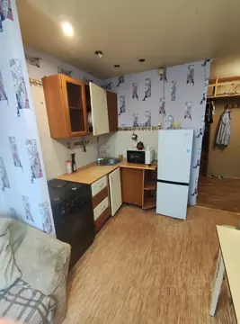 2-к кв. Нижегородская область, Нижний Новгород ул. Глеба Успенского, ...