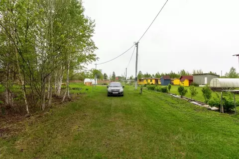 Участок в Тюменская область, Тюмень Светлое садовое товарищество,  ...