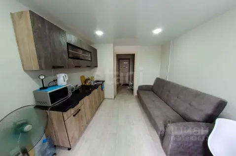 Студия Курганская область, Шадринск ул. Карла Маркса, 82 (16.5 м)