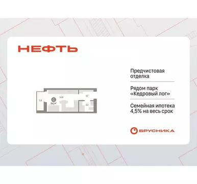 Студия Ханты-Мансийский АО, Сургут 1-й мкр, Нефть жилой комплекс (24.1 ...