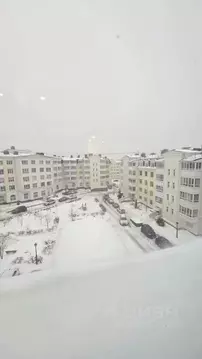 2-к кв. Санкт-Петербург, Санкт-Петербург, Пушкин ул. Анциферовская, ...