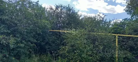 Участок в Белгородская область, Корочанский район, Мелиховское с/пос, ...
