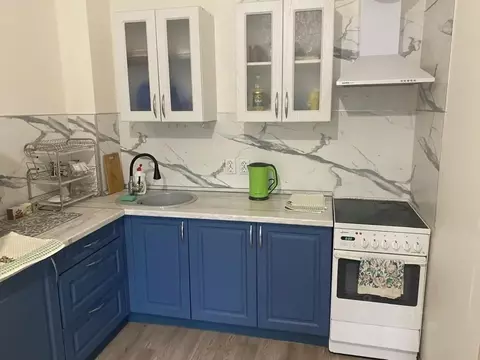 1-к кв. Санкт-Петербург ул. Пейзажная, 16к1 (34.1 м)