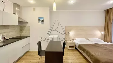 Студия Санкт-Петербург ул. Академика Павлова, 7 (27.0 м)