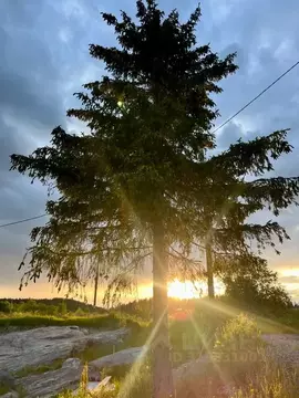 Дом в Карелия, Сортавальский муниципальный округ, пос. Лахденкюля ул. ...