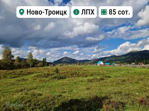 Участок в Алтай, Турочакский район, с. Ново-Троицк  (85.0 сот.)